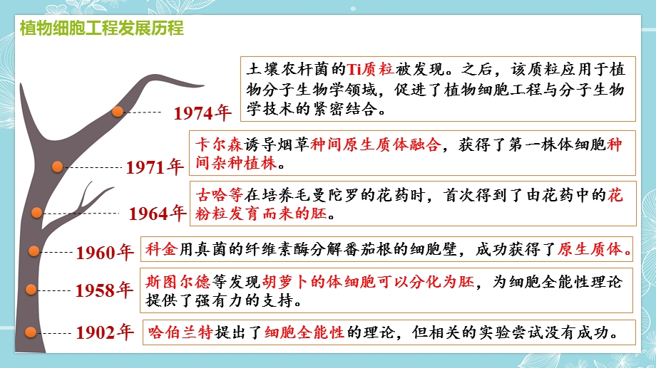 2-1-1 植物细胞工程的基本技术 课件2021-2022学年高二下学期生物人教版选择性必修3.pptx_第2页