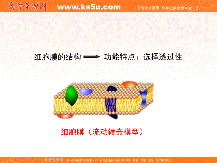 2016-2017学年苏教版高中生物必修一3.3《物质的跨膜运输》精品课件 （共33张PPT） .ppt_第2页