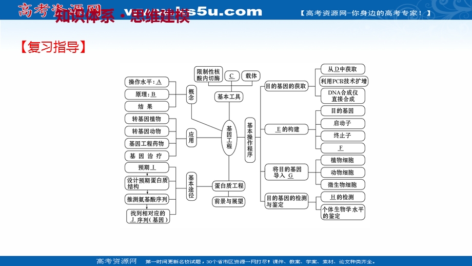 2021-2022学年人教版生物选修3课件：阶段提升课 专题1 基因工程 .ppt_第2页