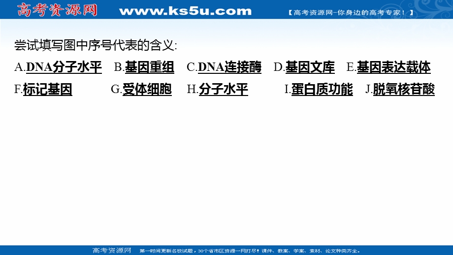 2021-2022学年人教版生物选修3课件：阶段提升课 专题1 基因工程 .ppt_第3页