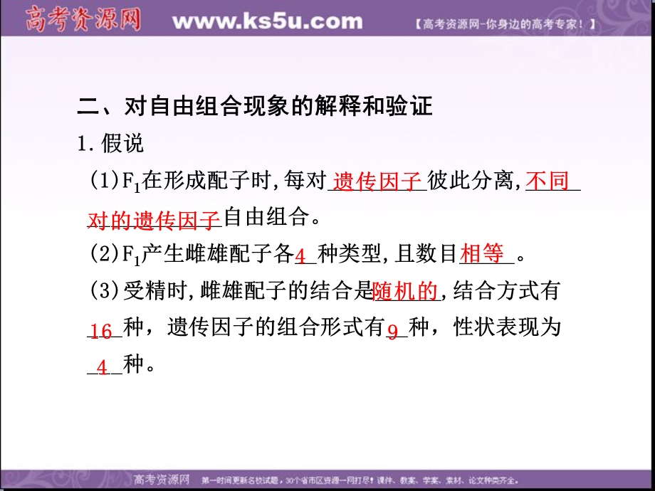 2014年浙科版高中生物必修一同步系列：《自由组合定律》课件7.ppt_第3页