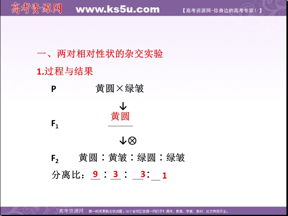 2014年浙科版高中生物必修一同步系列：《自由组合定律》课件1.ppt_第2页