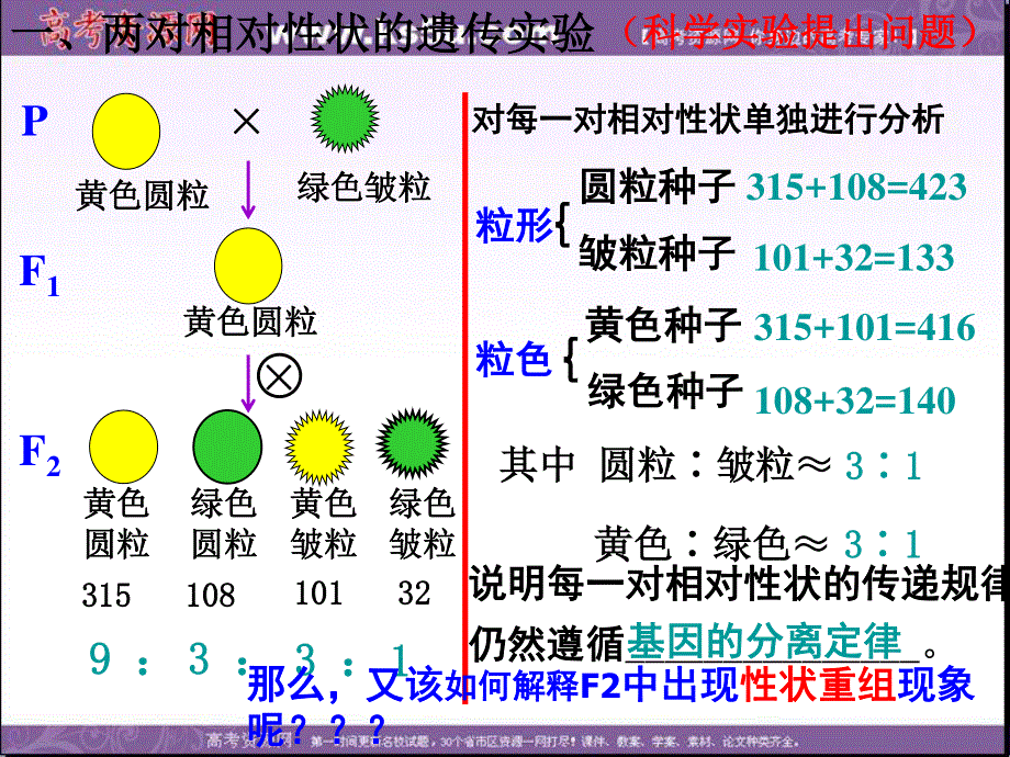 2014年浙科版高中生物必修一同步系列：《自由组合定律》课件25.ppt_第3页