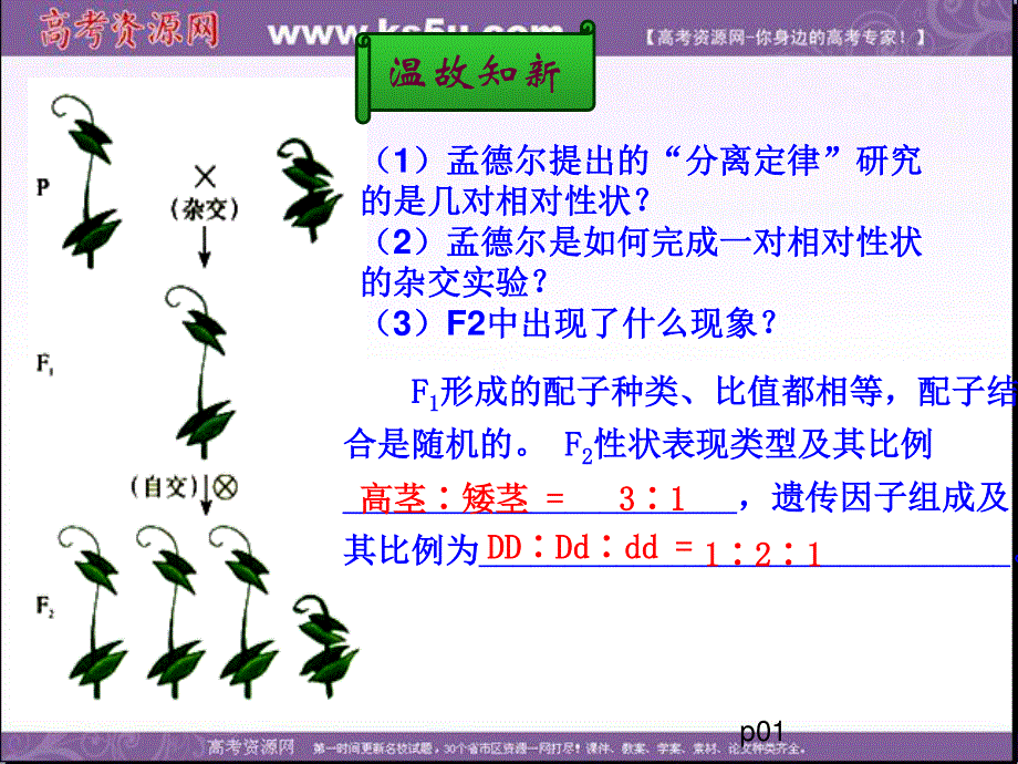 2014年浙科版高中生物必修一同步系列：《自由组合定律》课件20.ppt_第1页