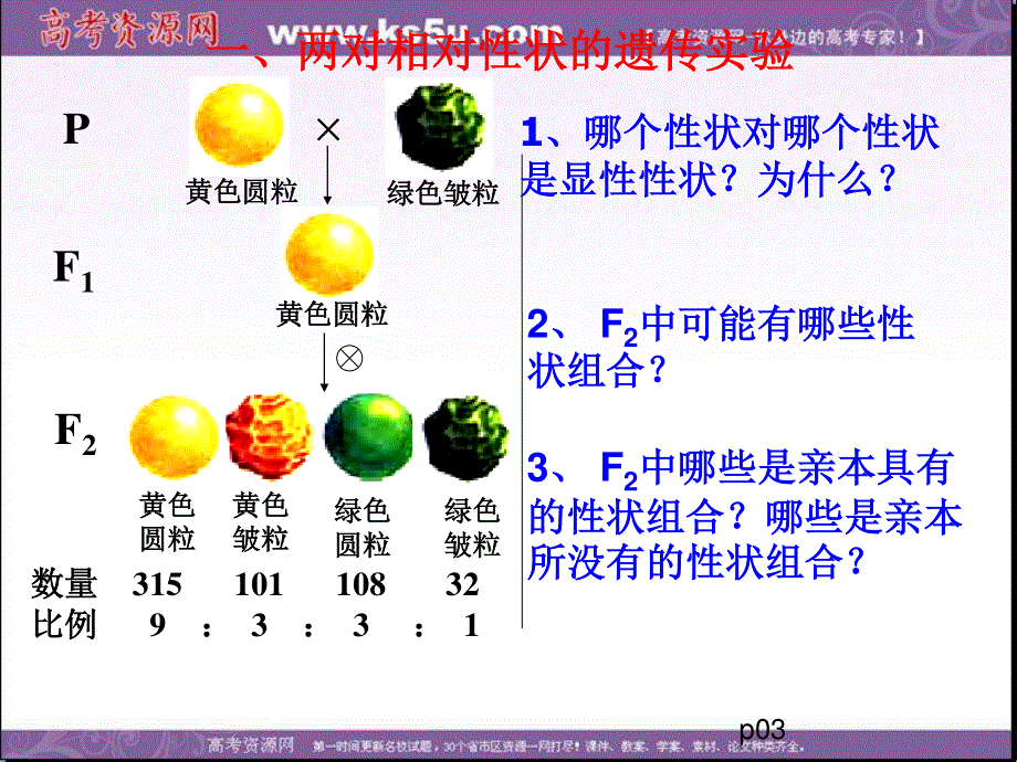 2014年浙科版高中生物必修一同步系列：《自由组合定律》课件20.ppt_第3页