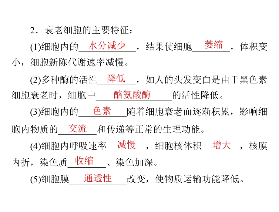 2014年生物新课标人教版必修3配套课件 第6章 第3节 细胞的衰老和凋亡.ppt_第3页