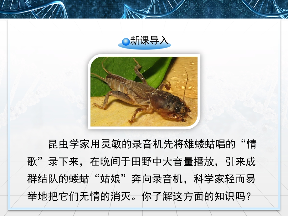 2016-2017学年苏教版高中生物必修三4.2《生态系统的稳态》第2课时课件 .ppt_第2页