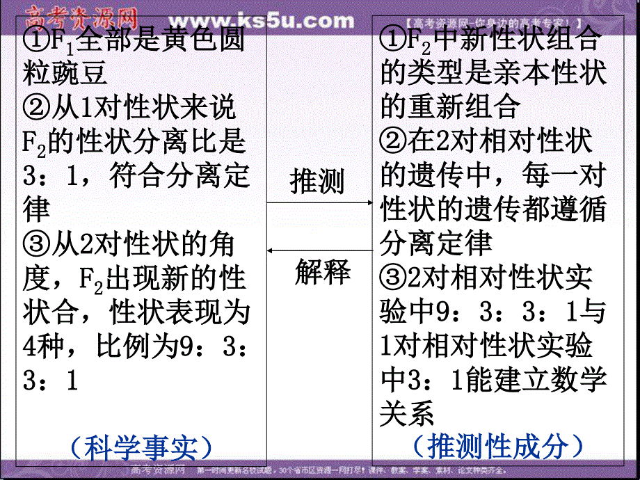 2014年浙科版高中生物必修一同步系列：《自由组合定律》课件9.ppt_第3页