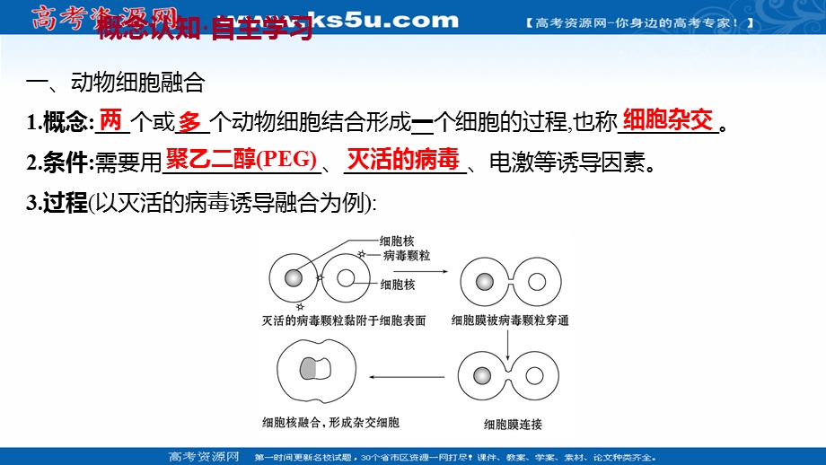 2021-2022学年人教版生物选修3课件：专题2 2-2-2动物细胞融合与单克隆抗体 .ppt_第3页