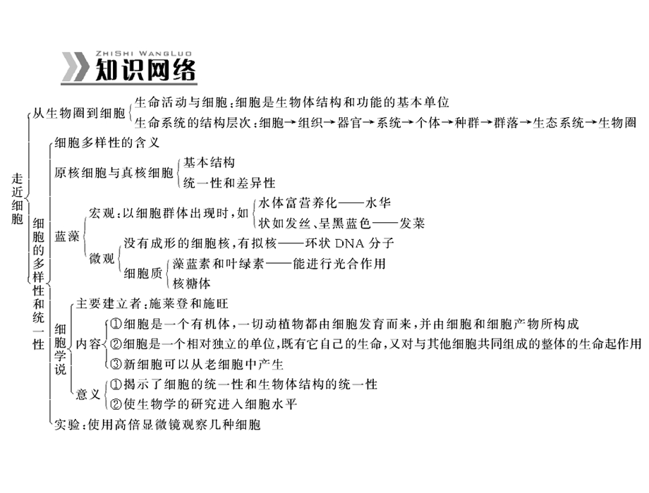 2014年生物新课标人教版必修3配套课件 第1章 章末整合提升.ppt_第2页