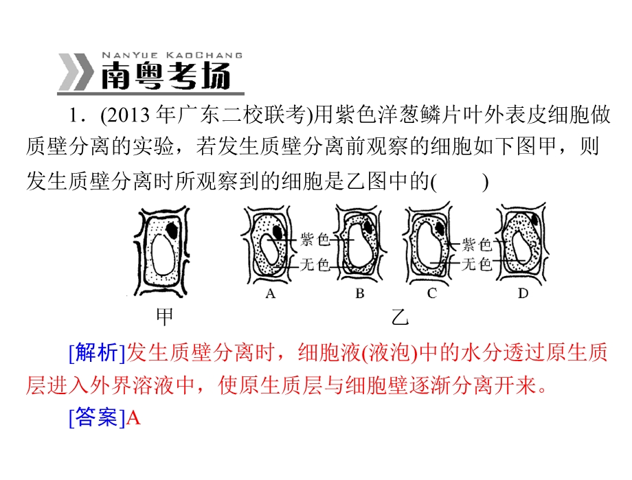 2014年生物课件必修1新课标人教版 第4章章末整合提升.ppt_第3页