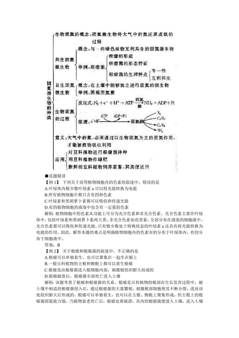 05-06年高三优化训练-光合作用与生物固氮A卷（附答案）.doc_第2页