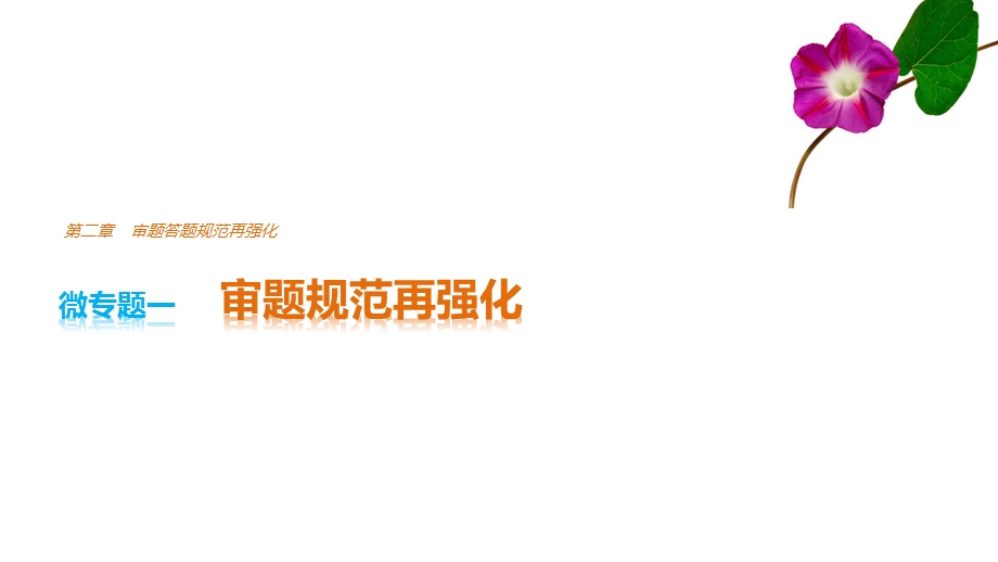 2017版浙江考前三个月高考语文考前回扣课件：第二章 审题答题规范再强化 微专题一 .pptx_第1页