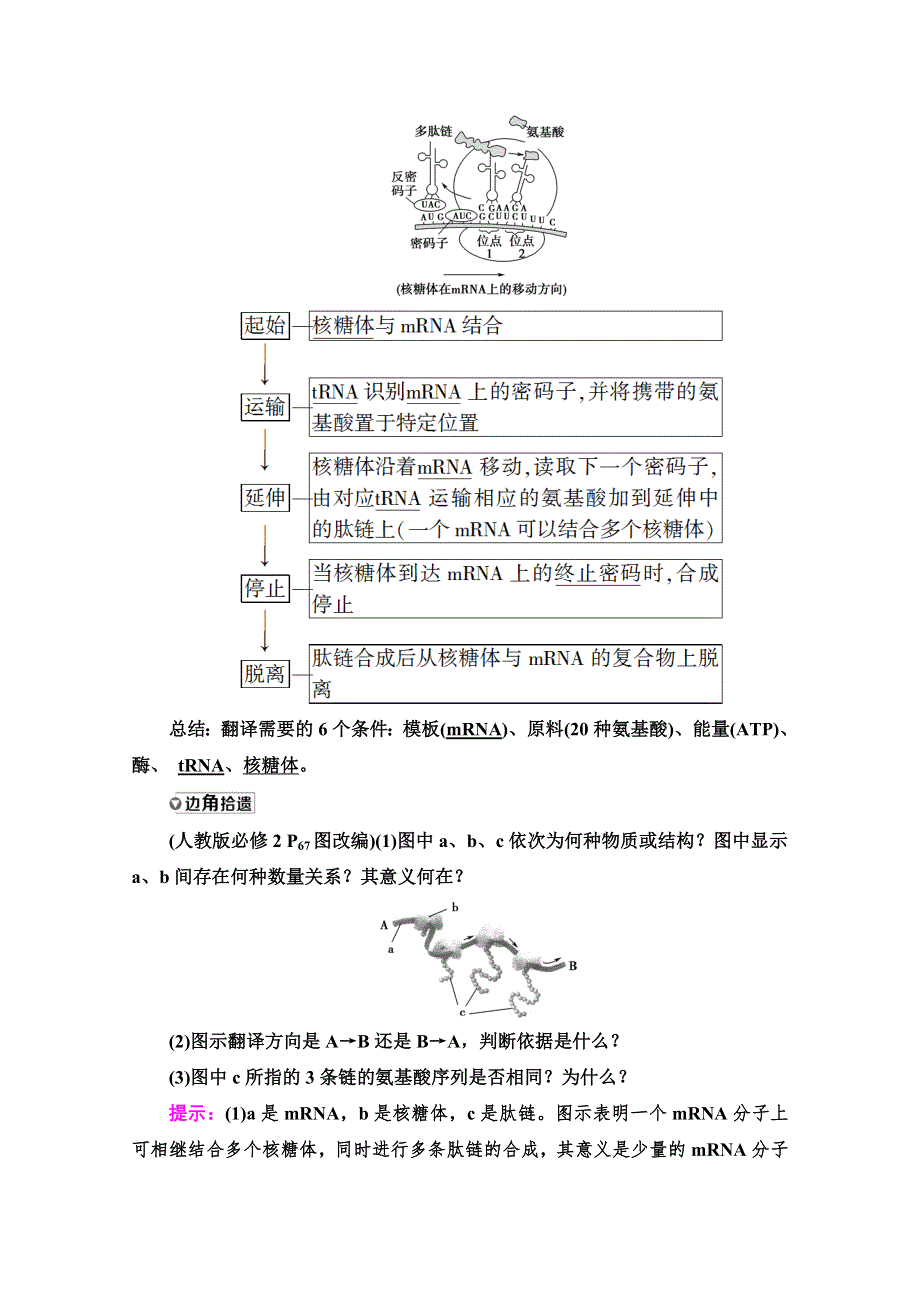 2022版新高考人教版生物（江苏专用）一轮学案：必修2 第6单元 第3讲　基因的表达 WORD版含解析.doc_第3页