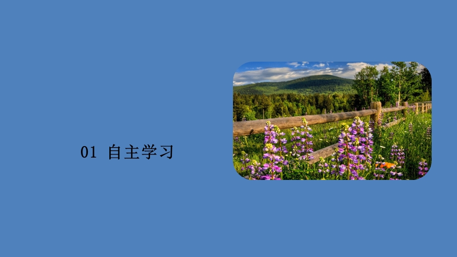 2019-2020学年人教版政治必修2课件：第四单元 第九课 课时一 国际社会的主要成员：主权国家和国际组织 .ppt_第3页