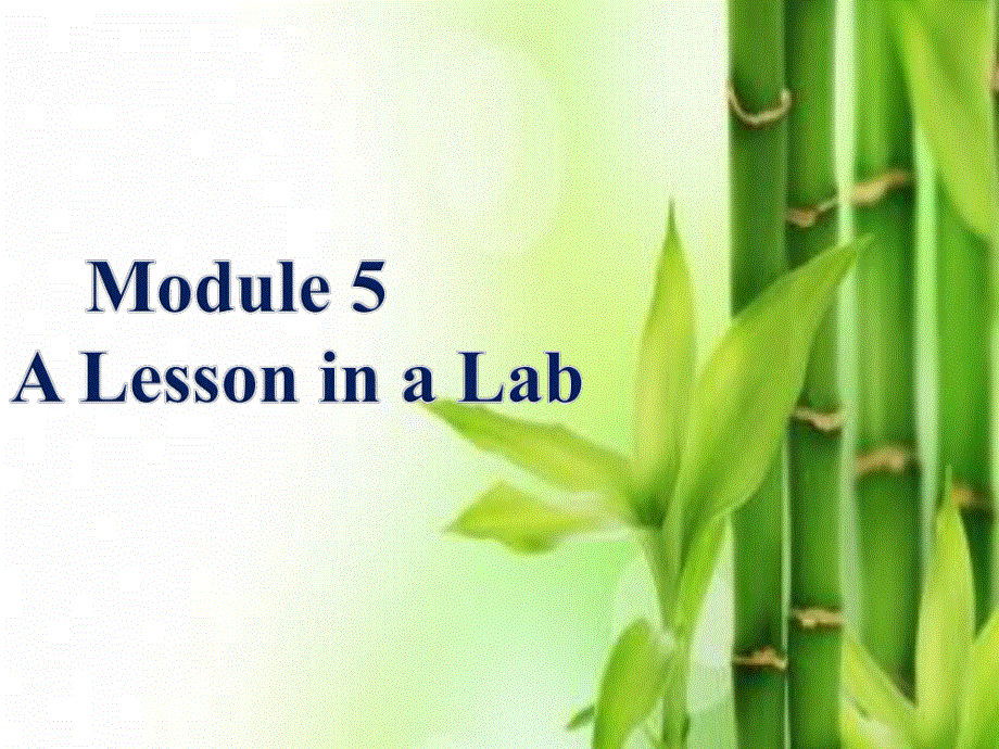 2014年秋高中英语同步课件：MODULE 5 A LESSON IN A LAB（第二课时）（外研版必修1）.ppt_第1页