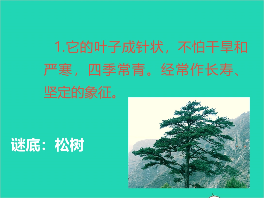 2022一年级道德与法治下册 第二单元 我和大自然 6花儿草儿真美丽课件1 新人教版.ppt_第3页