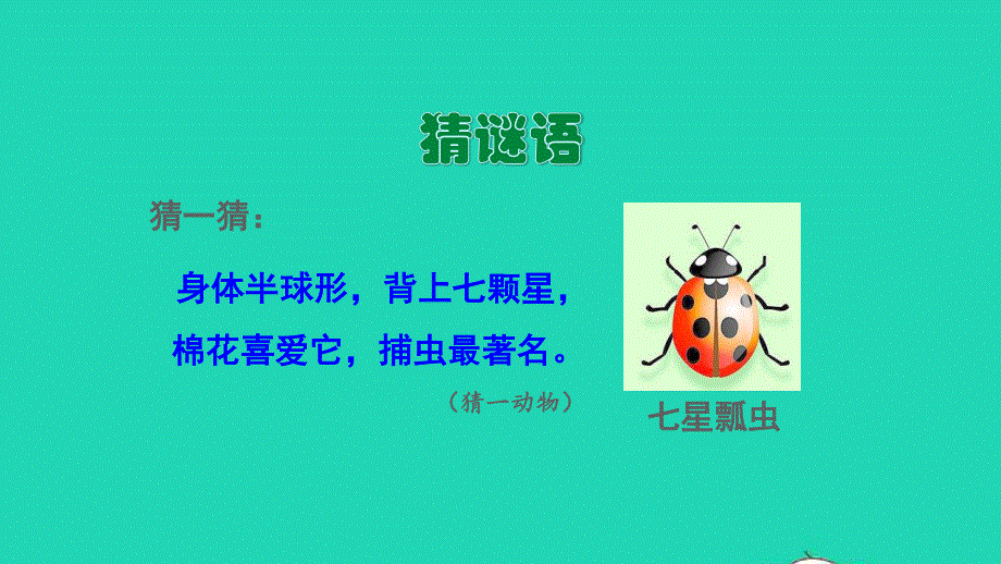 2022一年级语文下册 课文 6 19 棉花姑娘教学课件 新人教版.ppt_第3页