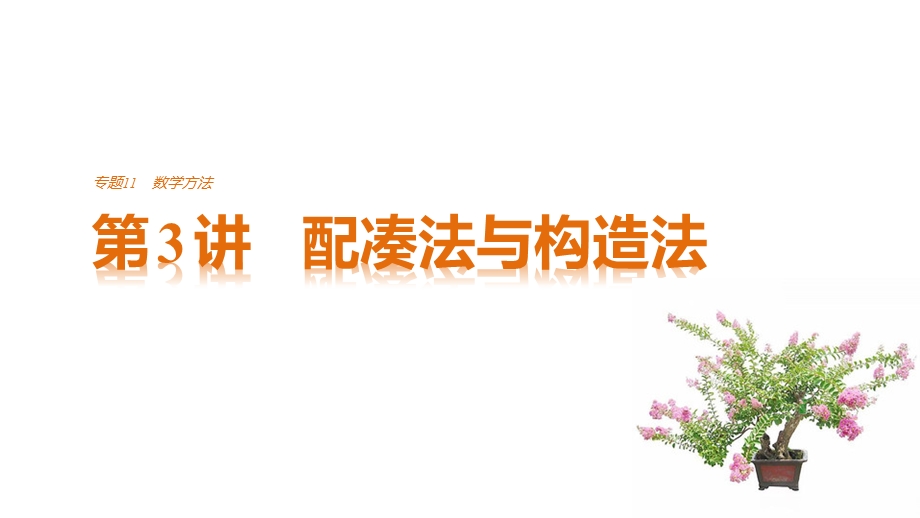 2017版高考数学江苏（理）考前三个月配套课件 专题11 数学方法 第3讲 .pptx_第1页