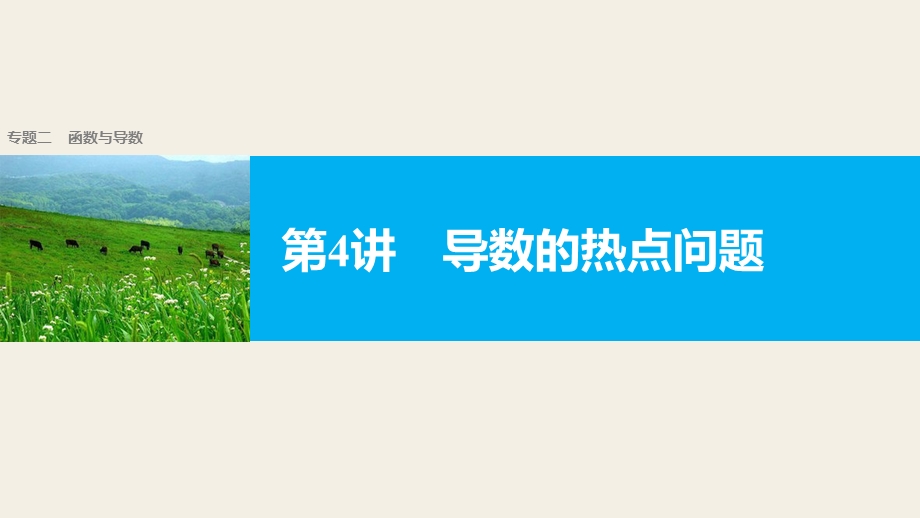 2017版高考数学（理江苏专用）大二轮总复习与增分策略配套课件：专题二　函数与导数 第4讲 .pptx_第1页