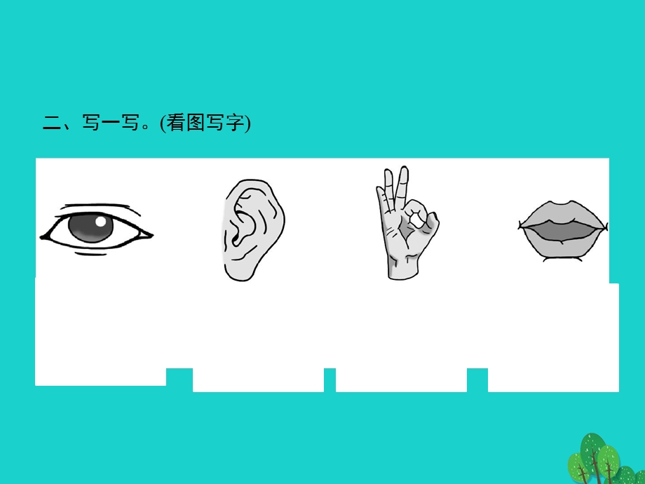 2022一年级语文上册 识字（一）3 口耳目课件 新人教版.pptx_第3页