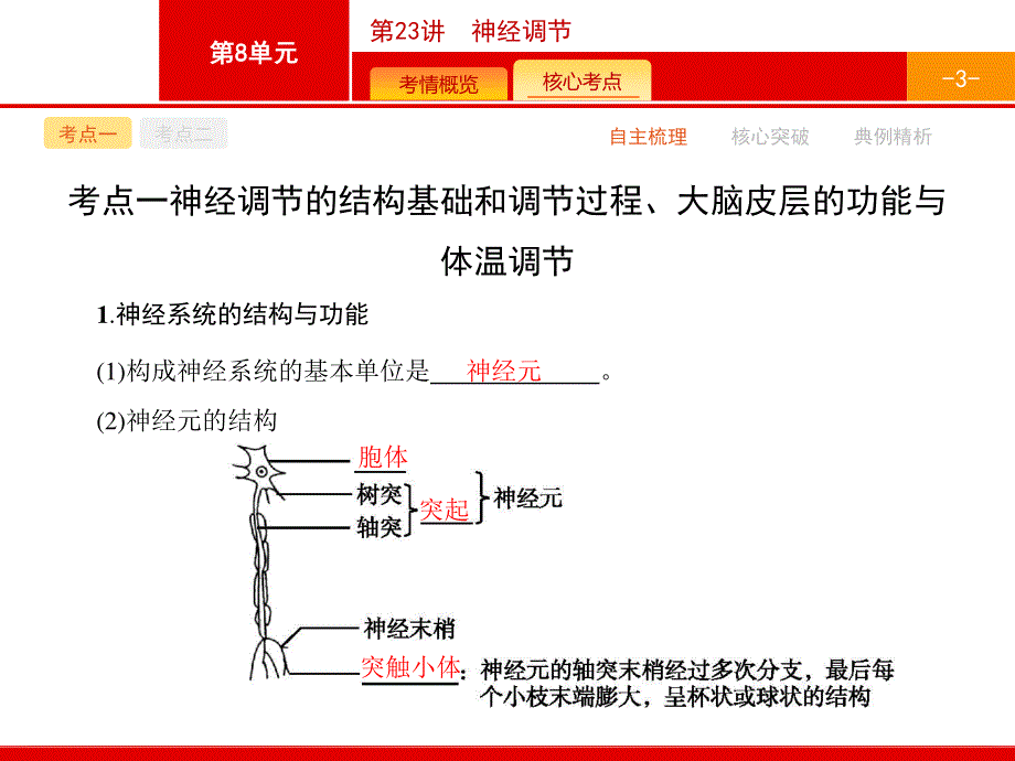 2017高考生物（浙科版）一轮复习参考课件：8.pptx_第3页