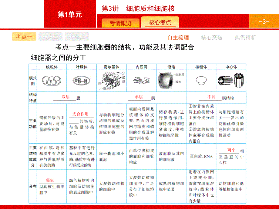 2017高考生物（浙科版）一轮复习参考课件：1.pptx_第3页