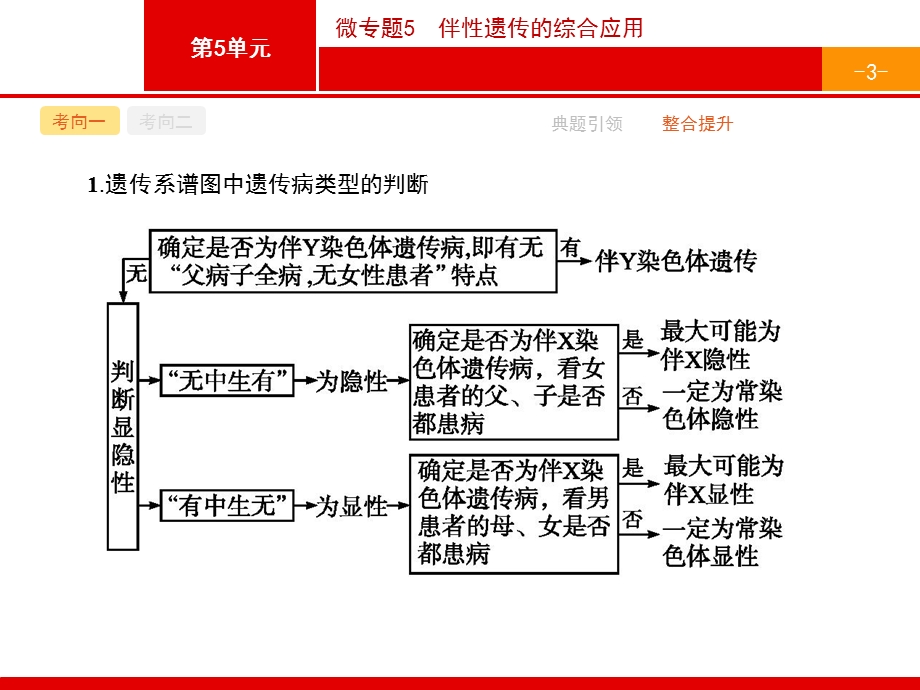 2017高考生物（浙科版）一轮复习参考课件：微专题5 伴性遗传的综合应用 .pptx_第3页