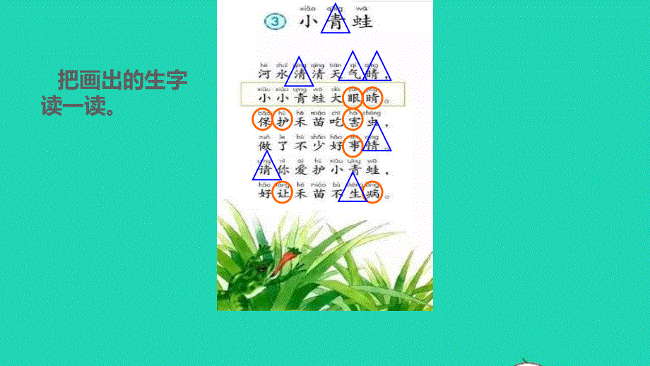 2022一年级语文下册 第1单元 识字3 小青蛙授课课件 新人教版.pptx_第3页