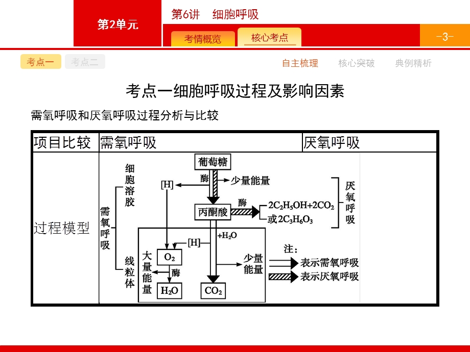 2017高考生物（浙科版）一轮复习参考课件：2.pptx_第3页