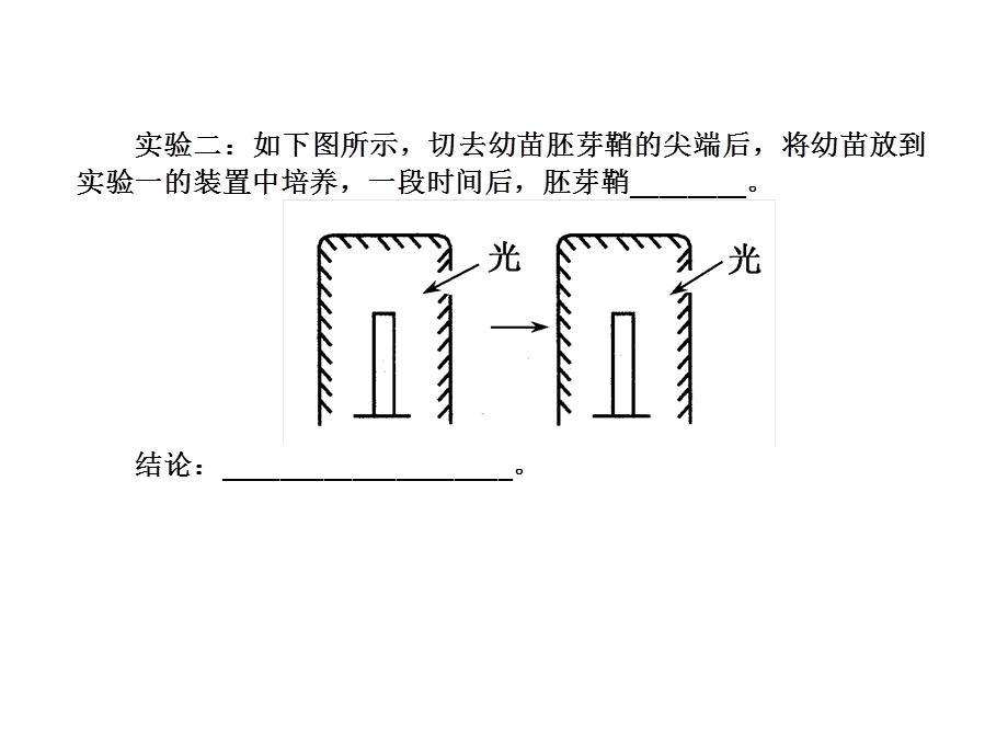 2013届三维方案高三生物一轮复习课件：3.3.1植物的激素调节（人教必修3）.ppt_第3页