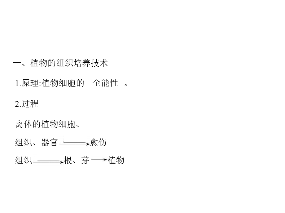 2013届全优设计高三生物一轮复习精品课件：专题3 植物的组织培养技术、酶的研究与应用（人教选修1）.ppt_第3页