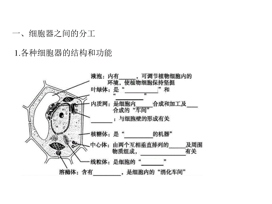 2013届全优设计高三生物一轮复习精品课件：3.2细胞器——系统内的分工合作（人教必修1）.ppt_第3页