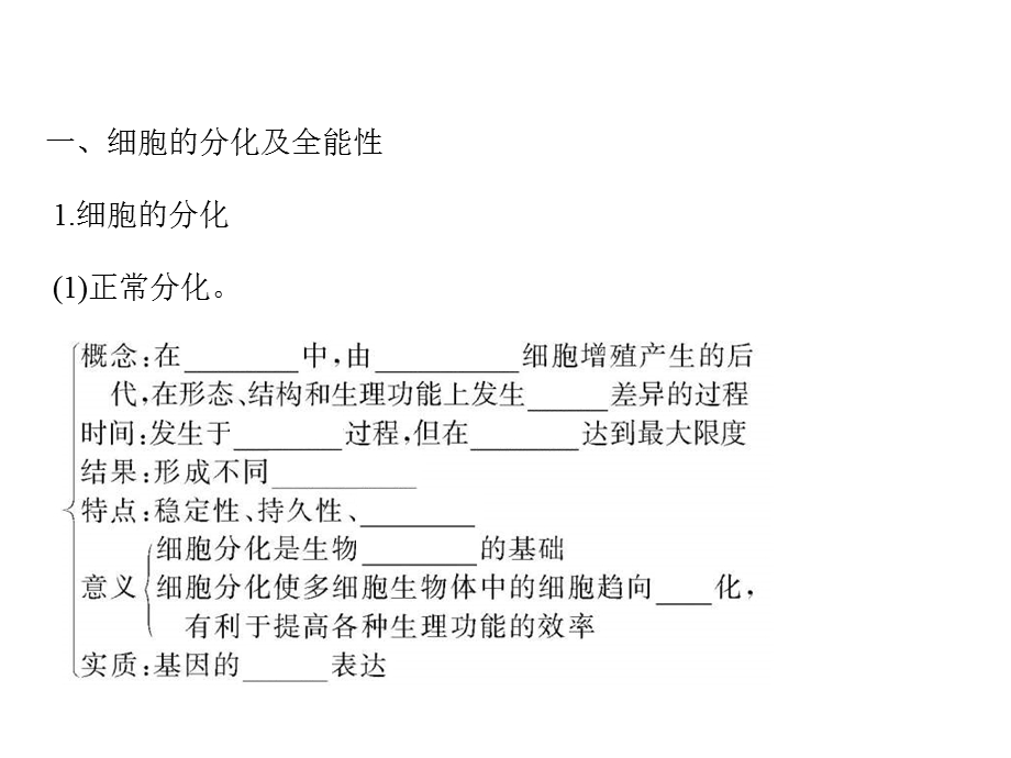 2013届全优设计高三生物一轮复习精品课件：6.2细胞的分化、衰老、凋亡和癌变（人教必修1）.ppt_第3页