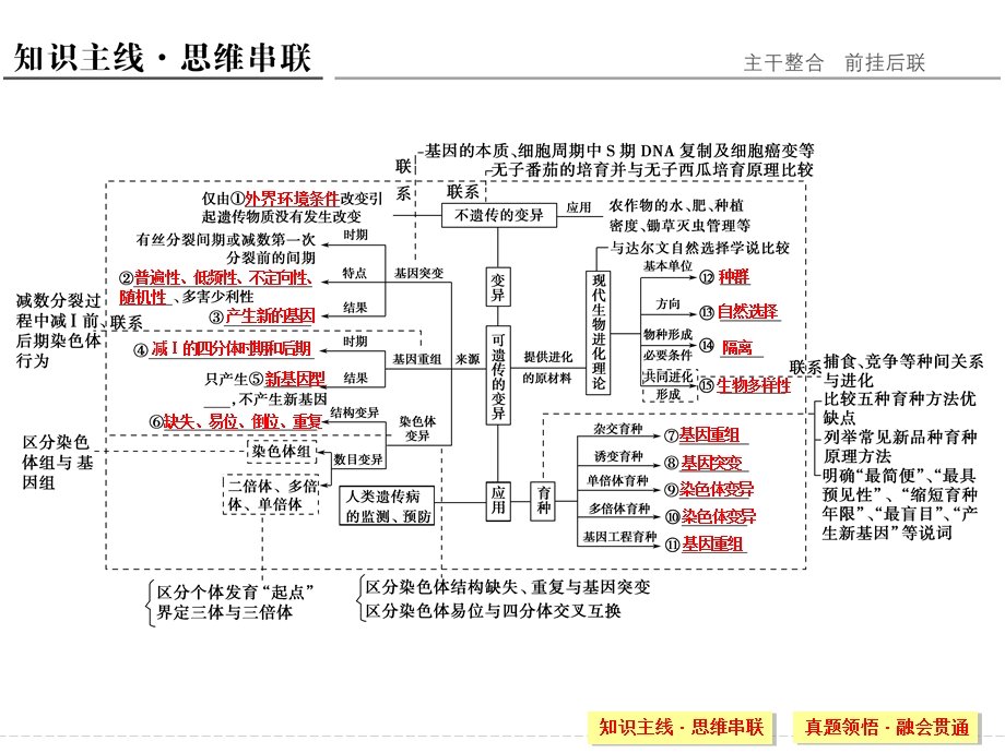 2016创新设计江苏专用高考生物二轮专题复习课件：第三单元遗传变异与进化专题三 .ppt_第2页