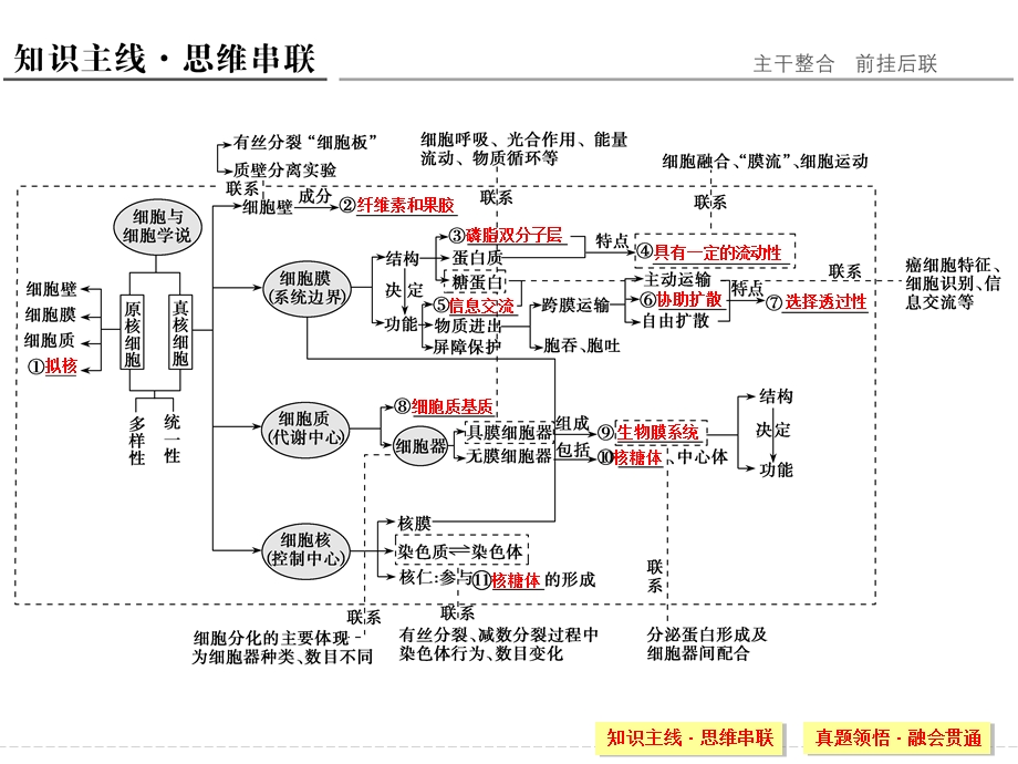 2016创新设计江苏专用高考生物二轮专题复习课件：第一单元生命系统的细胞基础专题二 .ppt_第2页