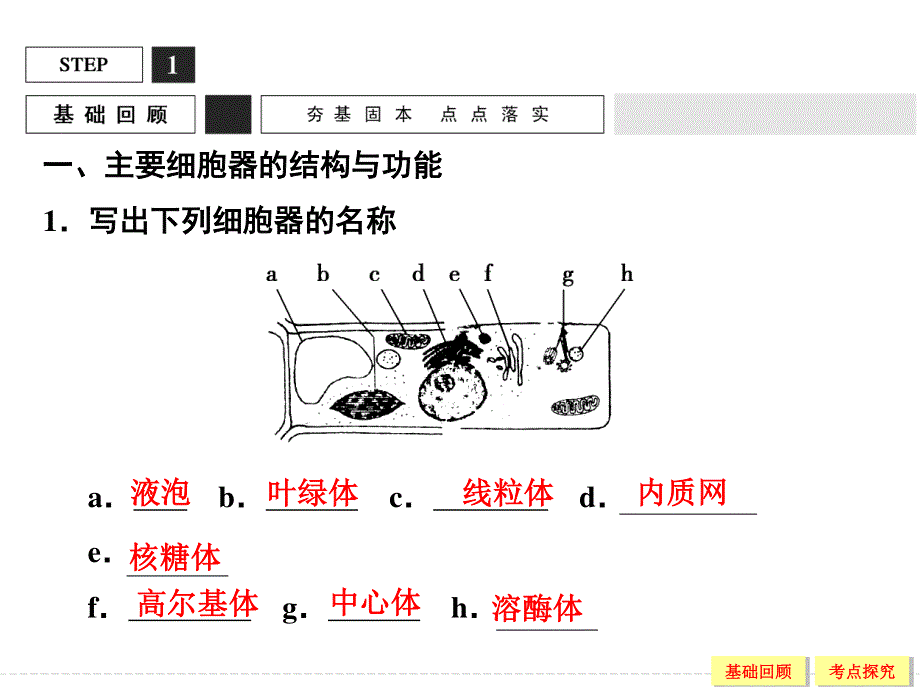 2016创新设计高考生物总复习课件（人教版） 第二单元 细胞的基本结构与物质运输 1-2-6细胞器与生物膜系统.ppt_第3页