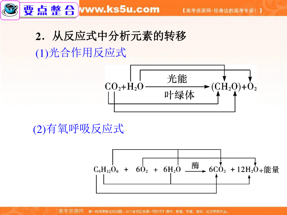 2012届广东省高考生物二轮总复习精品课件：第4课时 细胞呼吸与光合作用.ppt_第3页