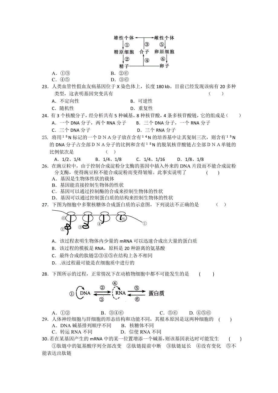 安徽省合肥一中、六中、一六八中学2010-2011学年高一下学期期末联考生物试题.doc_第3页