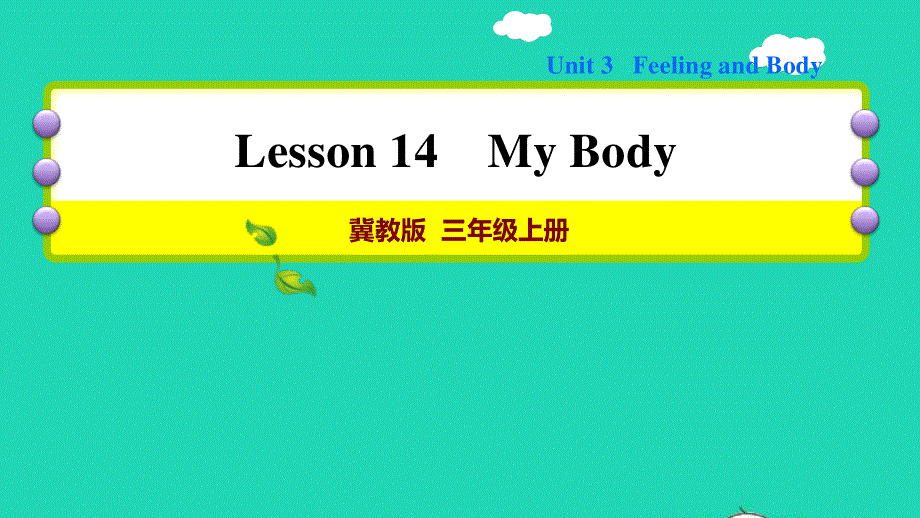 2021三年级英语上册 Unit 3 Body and Feelings Lesson 14 My Body习题课件 冀教版（三起）.ppt_第1页