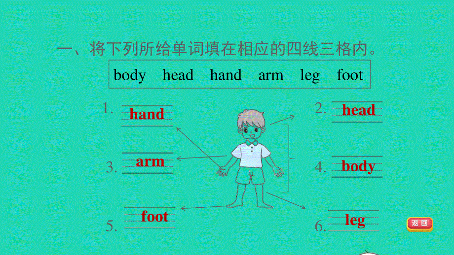 2021三年级英语上册 Unit 3 Body and Feelings Lesson 14 My Body习题课件 冀教版（三起）.ppt_第3页