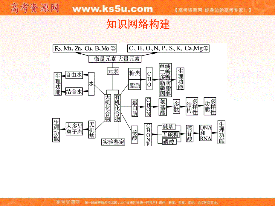 2012一轮精品课件：生物人教版必修一第2章 组成细胞的分子.ppt_第3页