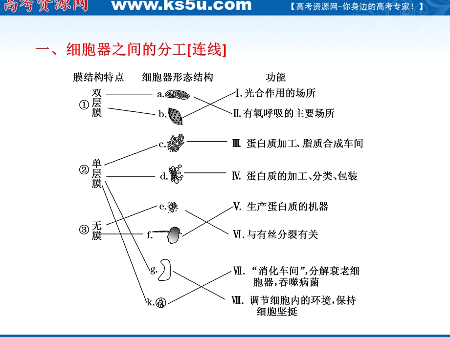 2012三维设计高三生物一轮复习：必修①第二单元 第二讲细胞器——系统内的分工与合作（人教新课标）.ppt_第3页