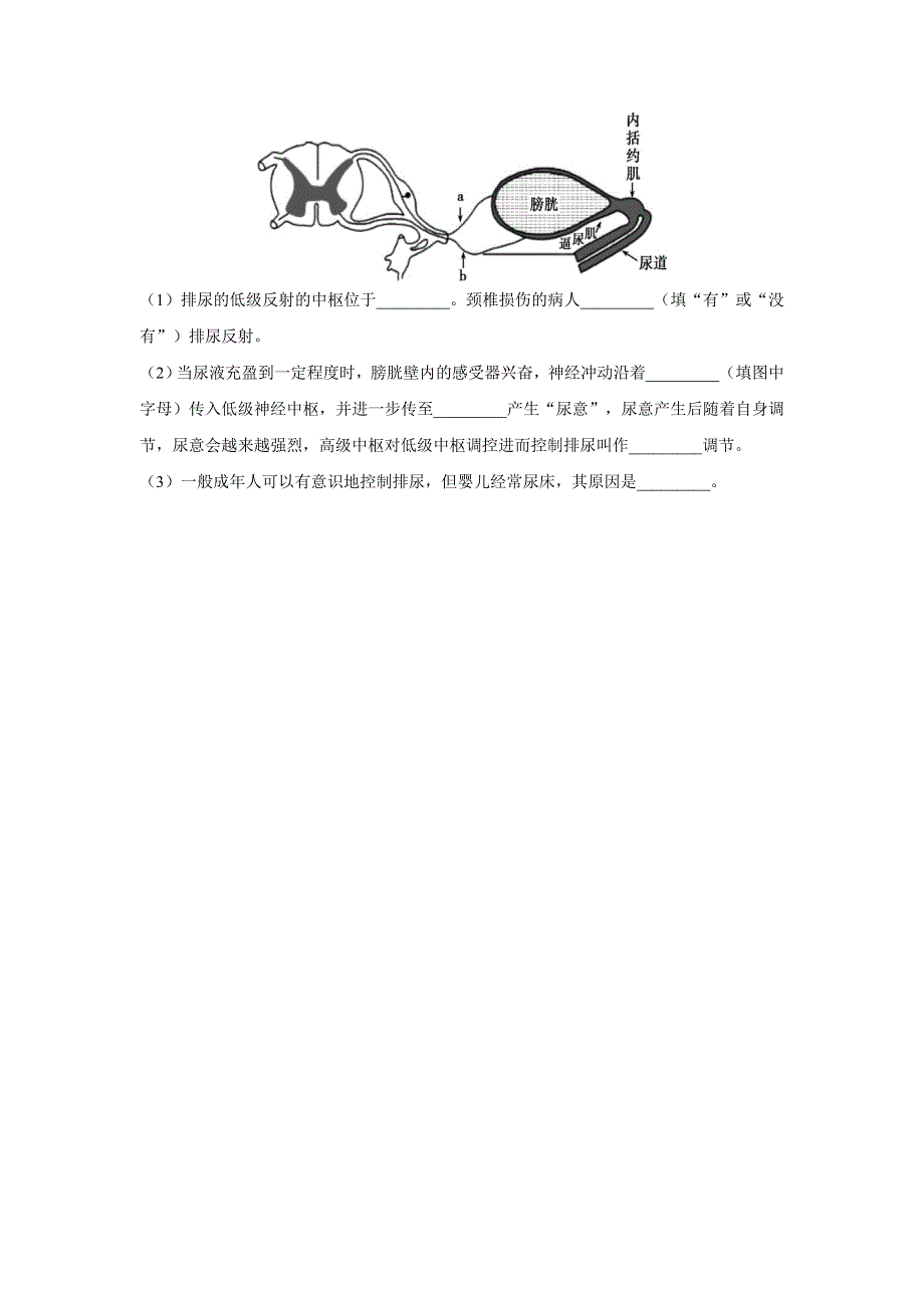 2-4神经系统的分级调节—2022-2023学年高二生物人教版（2019）选择性必修一课前导学 WORD版.doc_第3页