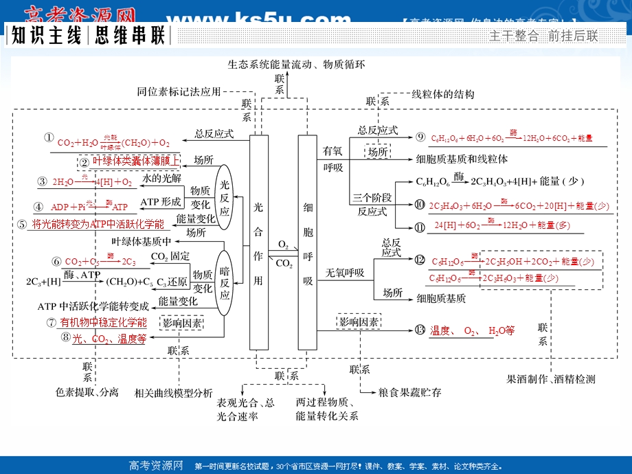 2017二轮专题复习生物课件：第二单元 专题二 两大基础代谢——光合作用和细胞呼吸.ppt_第2页