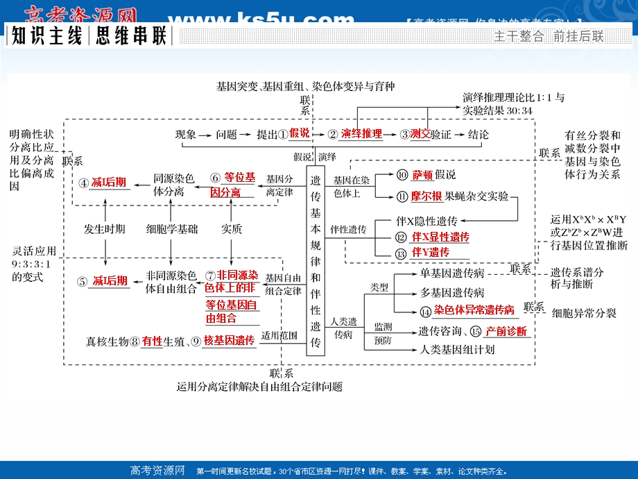 2017二轮专题复习生物课件：第四单元 专题二 遗传的基本规律及伴性遗传.ppt_第2页