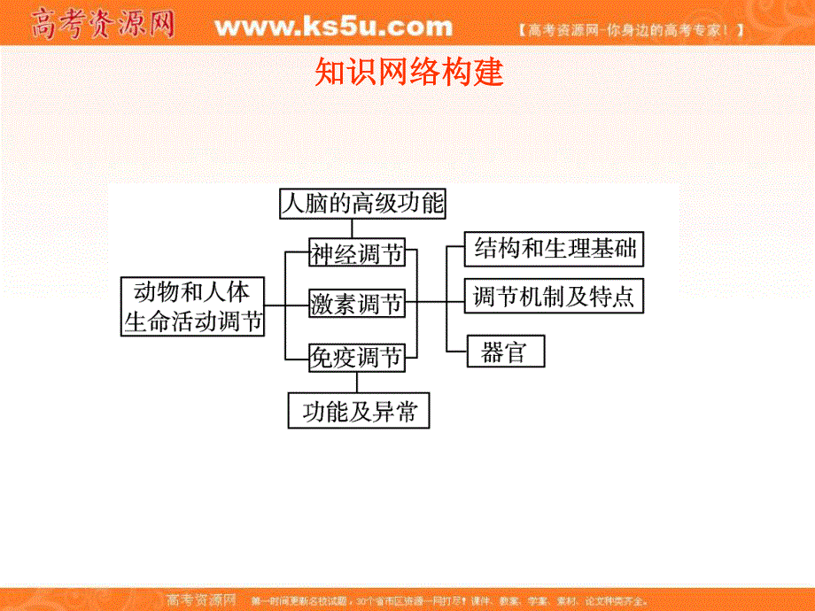 2012一轮精品课件：生物人教版必修三第2章 动物和人体生命活动的调节.ppt_第3页