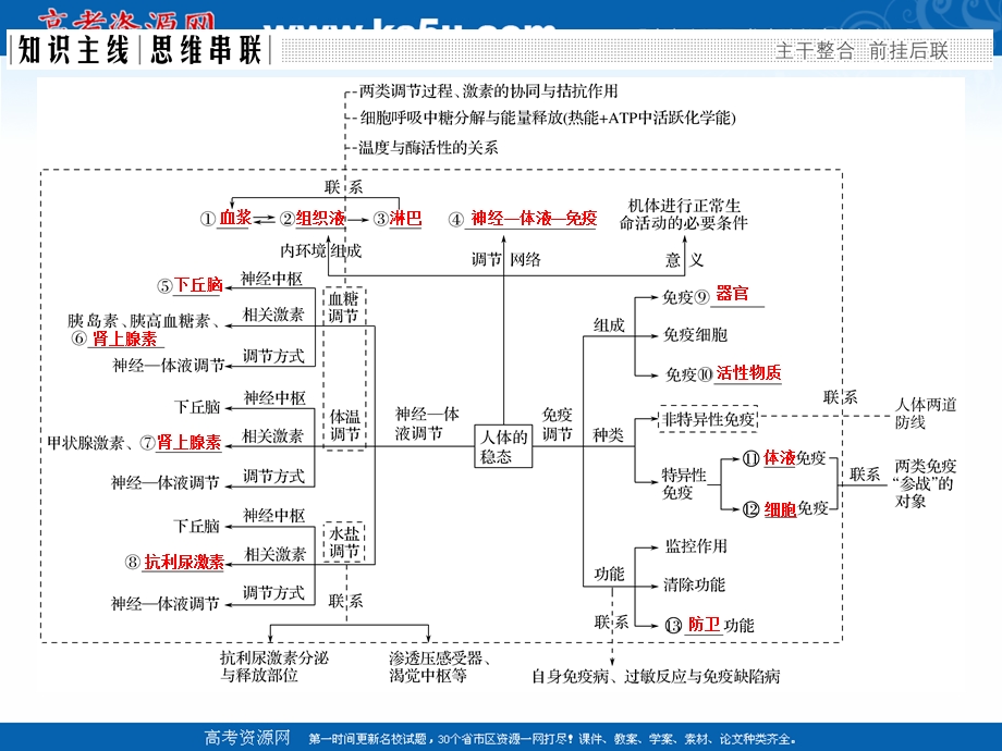 2017二轮专题复习生物课件：第五单元 专题二 人体内环境稳态与免疫.ppt_第2页