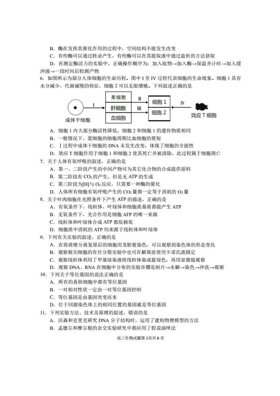 安徽省合肥一中、安庆一中等六校教育研究会2020届高三上学期第一次素质测试生物试题 PDF版含答案.pdf_第2页