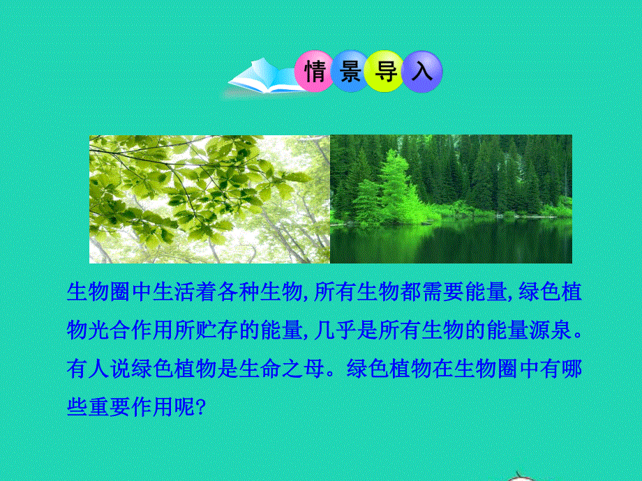 2022七年级生物上册 第3单元 生物圈中的绿色植物 第7章 绿色植物与生物圈第1节 绿色植物在生物圈中的作用教学课件 （新版）北师大版.ppt_第2页